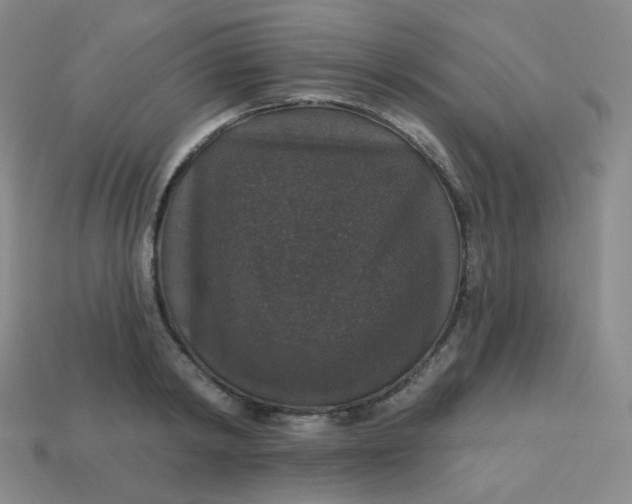 X0000113550798200910091303