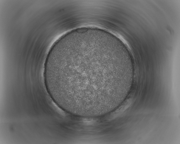 X0000113550799200910091303