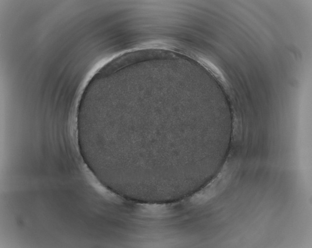 X0000113550800200910091303