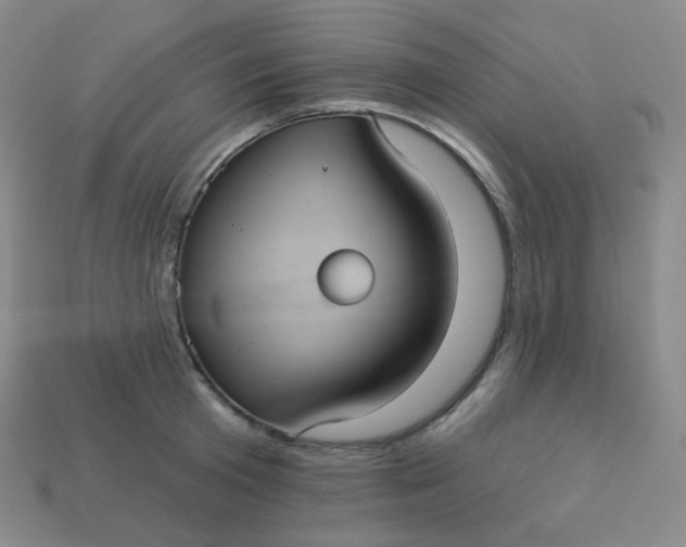 X0000113550801200910091303