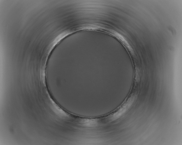 X0000113550802200910091303