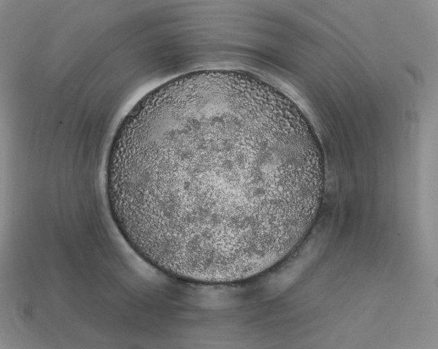 X0000113550803200910091303