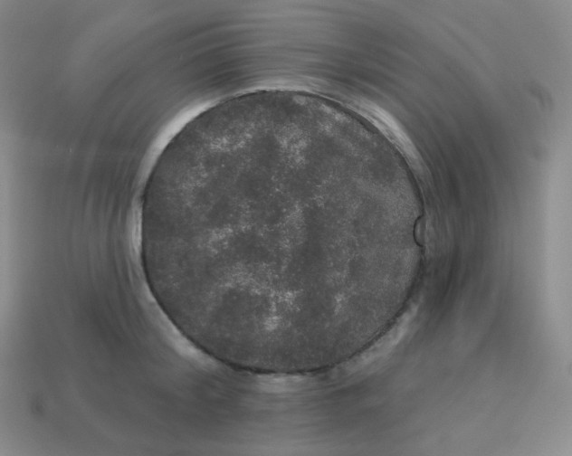 X0000113550804200910091303