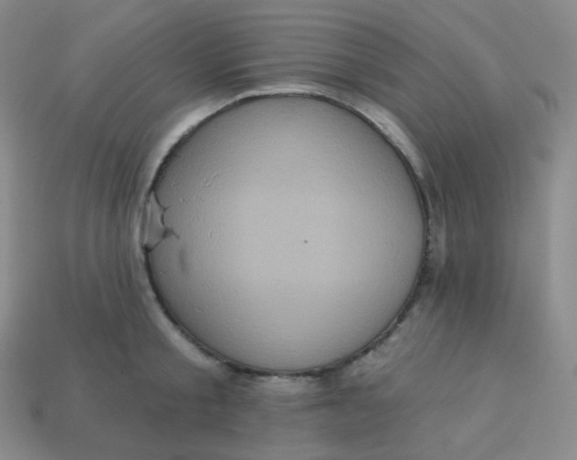 X0000113550805200910091303