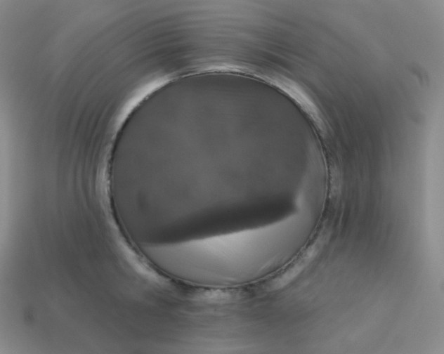 X0000113550806200910091303