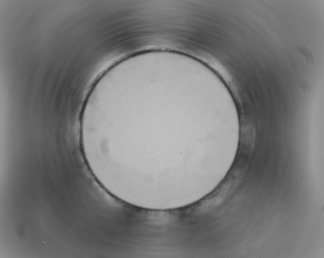 X0000113550807200910091302