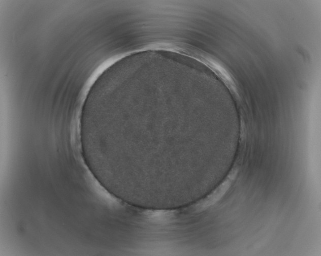 X0000113550808200910091302