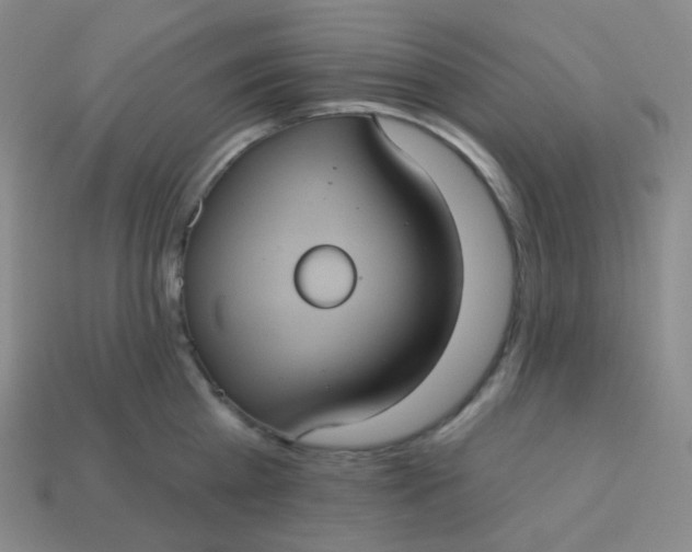 X0000113550809200910091302