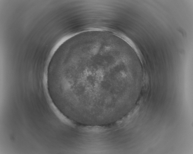 X0000113550811200910091302