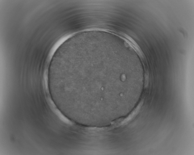 X0000113550812200910091302