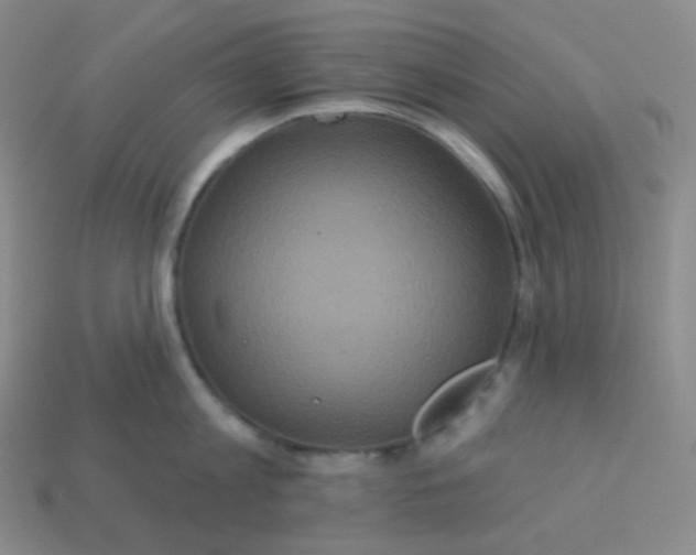 X0000113550813200910091302