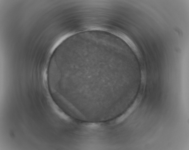 X0000113550814200910091302