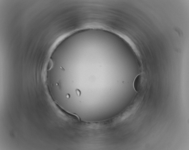 X0000113550815200910091302