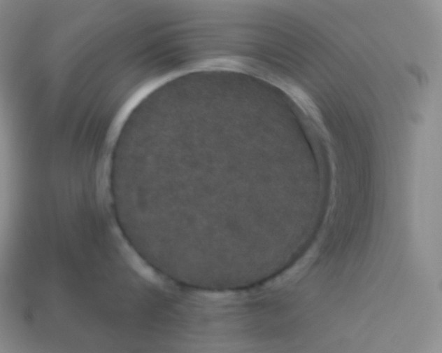 X0000113550816200910091302