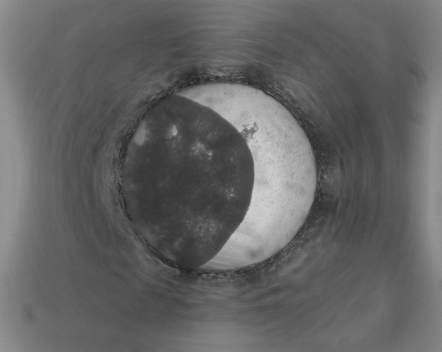 X0000113550817200910091302