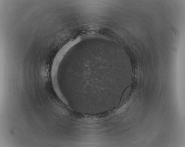 X0000113550818200910091302