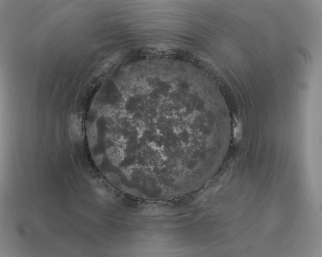 X0000113550819200910091302