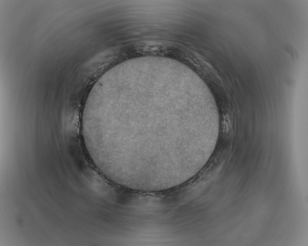 X0000113550820200910091302