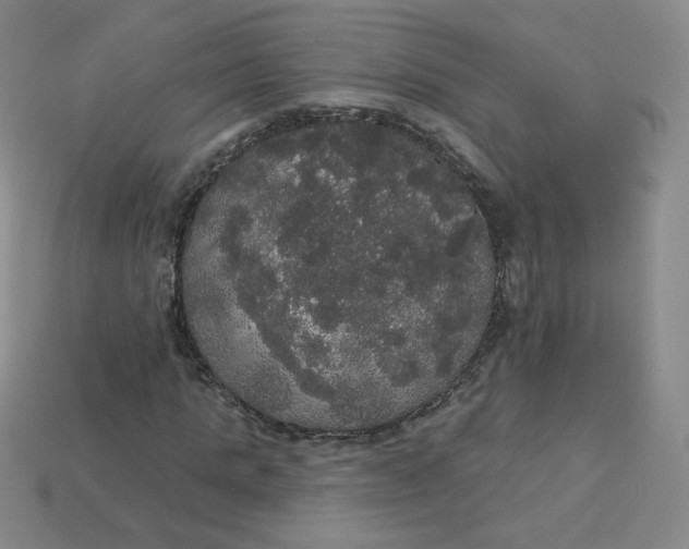 X0000113550821200910091302