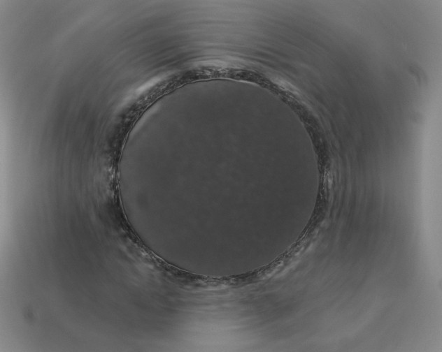 X0000113550822200910091302