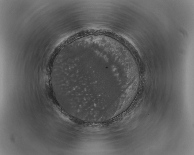 X0000113550823200910091302