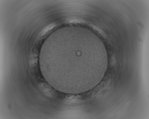 X0000113550824200910091302