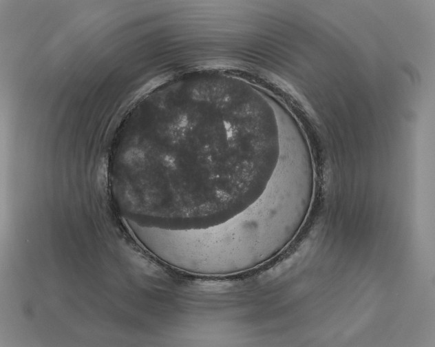 X0000113550825200910091302