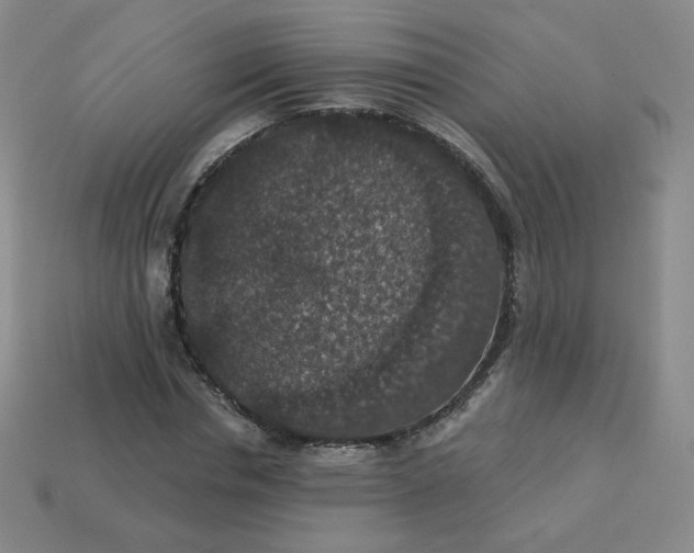 X0000113550826200910091302