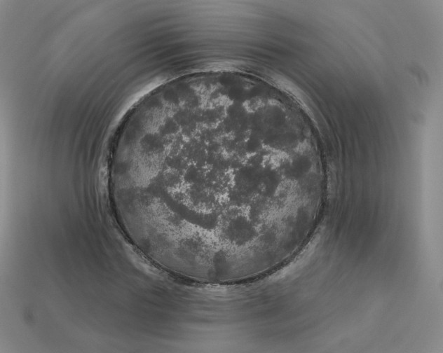 X0000113550827200910091302