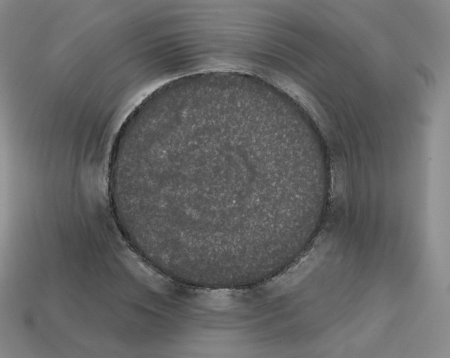 X0000113550828200910091302