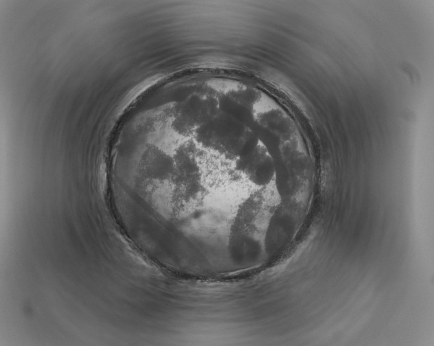 X0000113550829200910091302