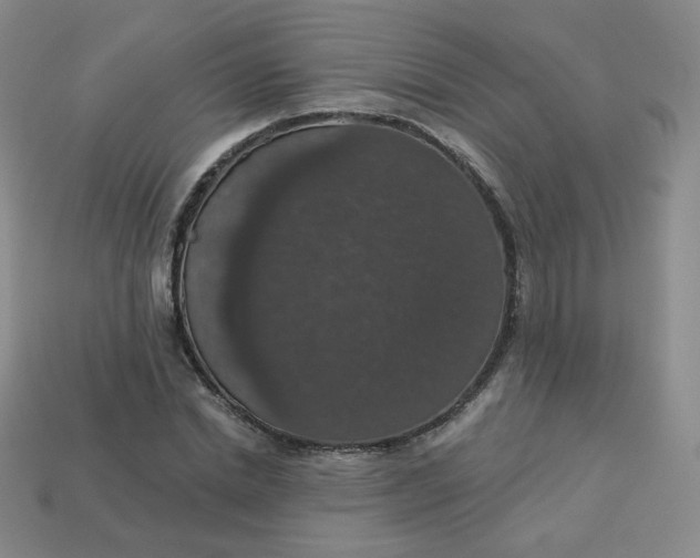 X0000113550830200910091302