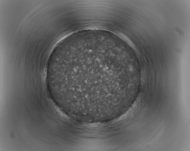 X0000113550831200910091302