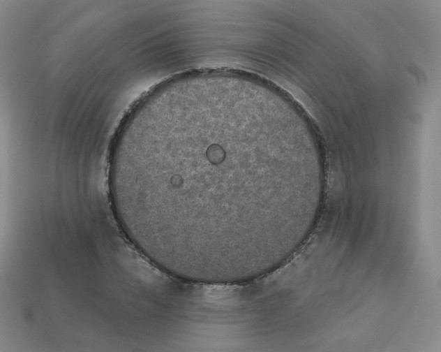 X0000113550832200910091302