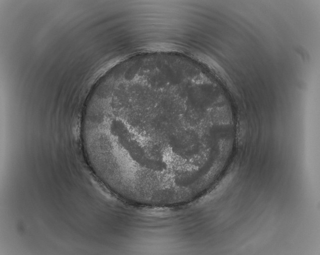 X0000113550833200910091302