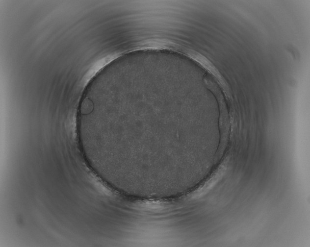 X0000113550834200910091302