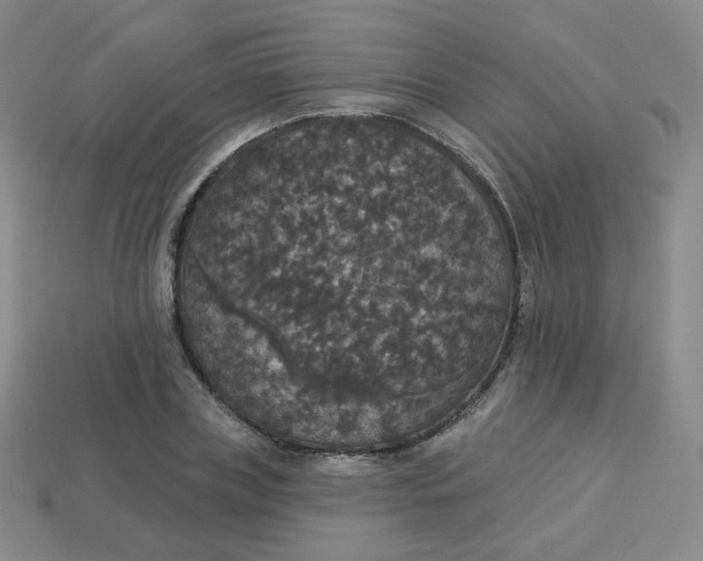 X0000113550835200910091302