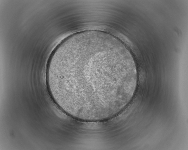 X0000113550836200910091302