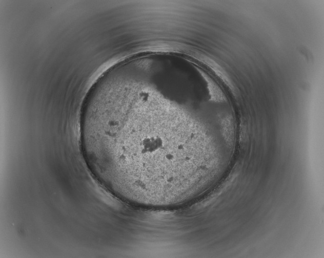 X0000113550837200910091302