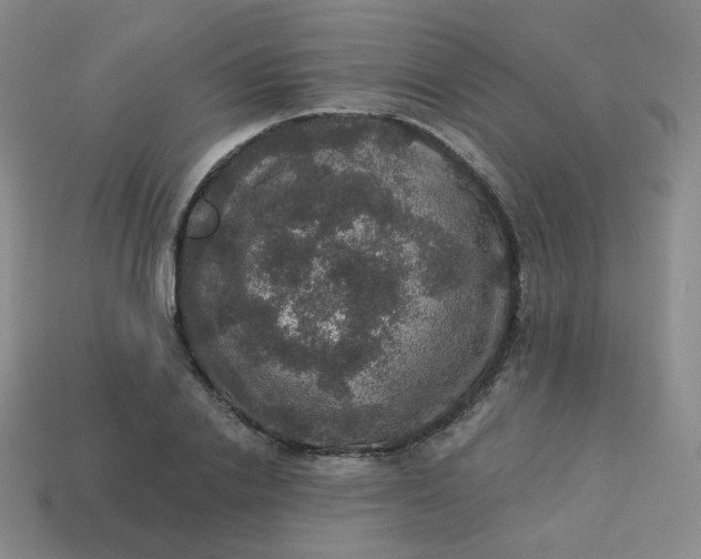 X0000113550838200910091302