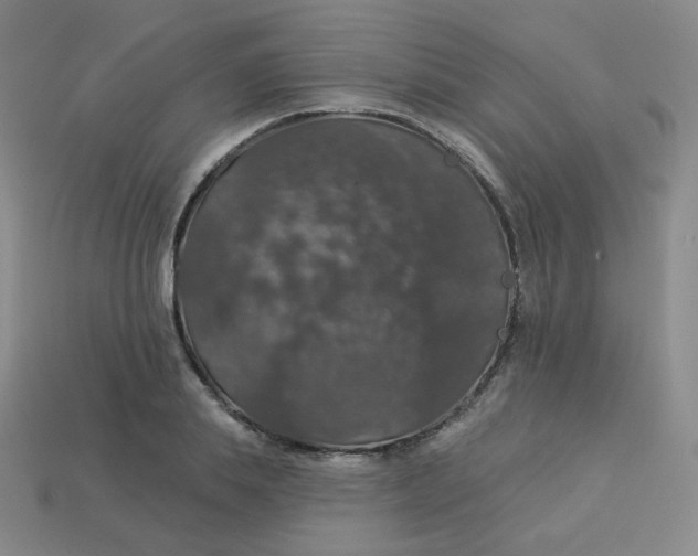 X0000113550839200910091302