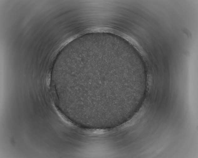 X0000113550841200910091302