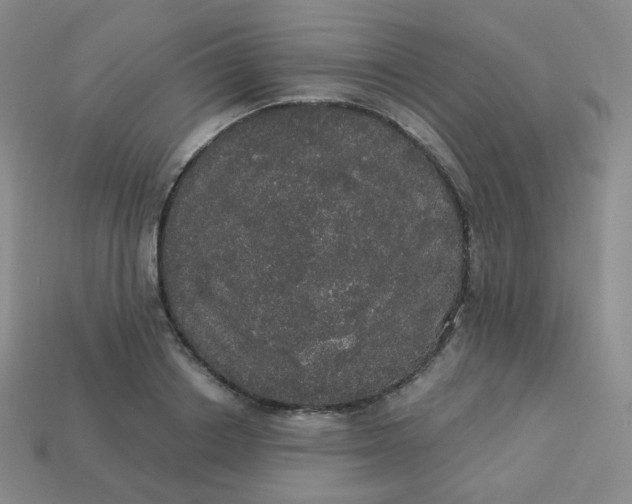 X0000113550842200910091302