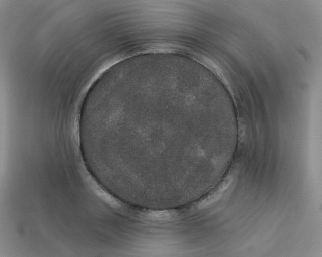 X0000113550843200910091302