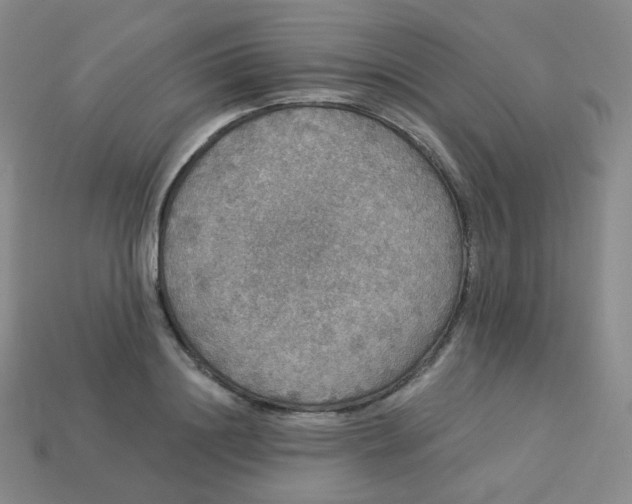 X0000113550844200910091302