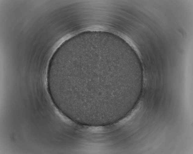 X0000113550845200910091302