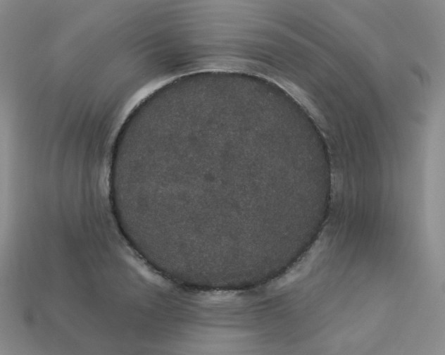 X0000113550846200910091302