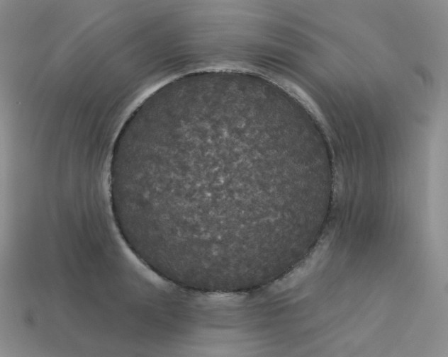 X0000113550847200910091302