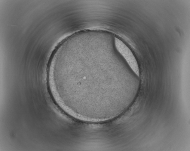 X0000113550848200910091302