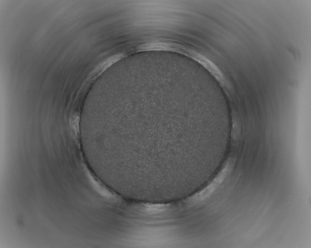 X0000113550849200910091302